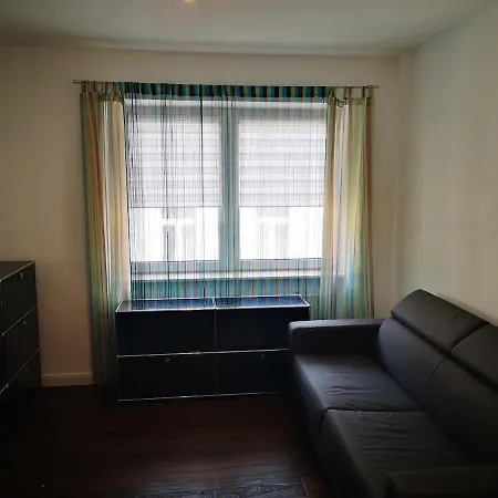 Centrally Located Spacious Flat Close To Rhine