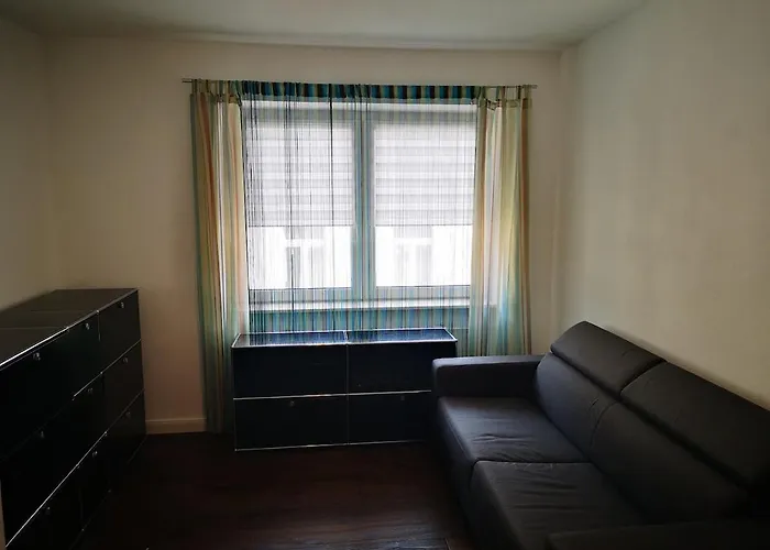 Centrally Located Spacious Flat Close To Rhine